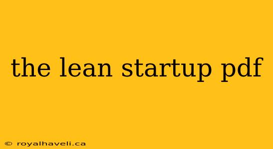 the lean startup pdf