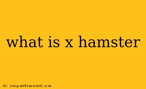 what is x hamster